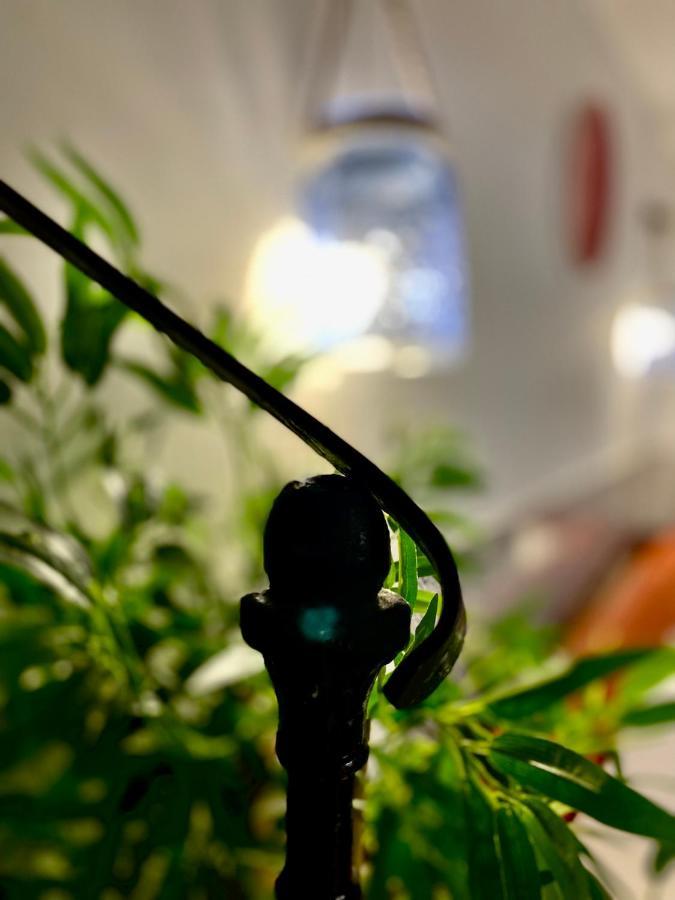 Moroni Trastevere Cozy Apartment ローマ エクステリア 写真