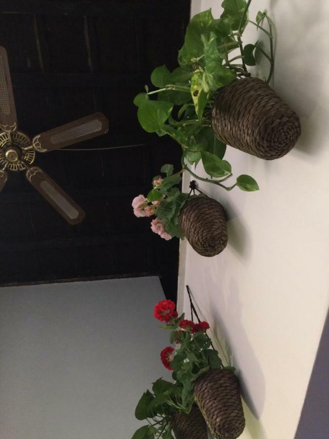 Moroni Trastevere Cozy Apartment ローマ エクステリア 写真